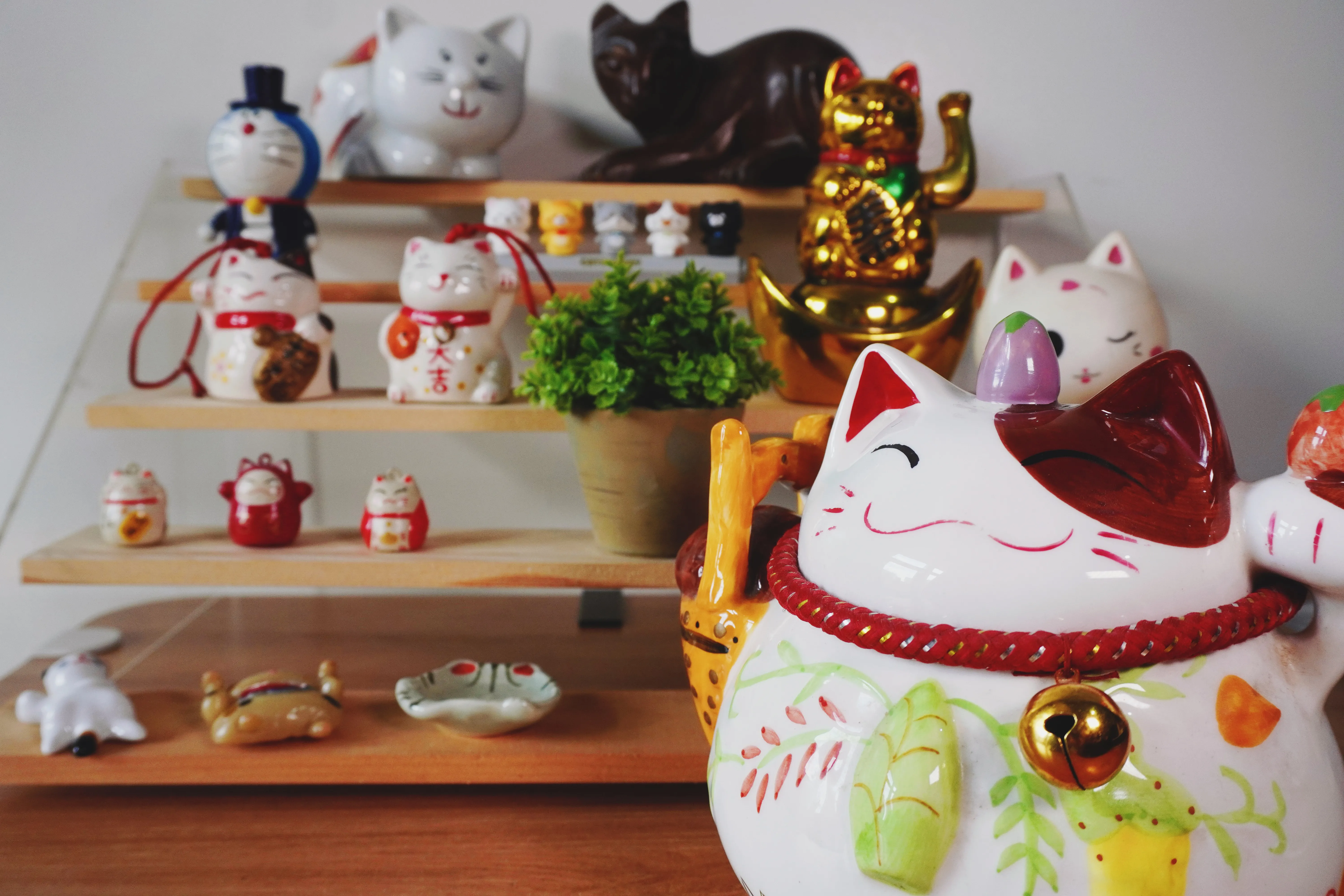 Grace's Cat Collection