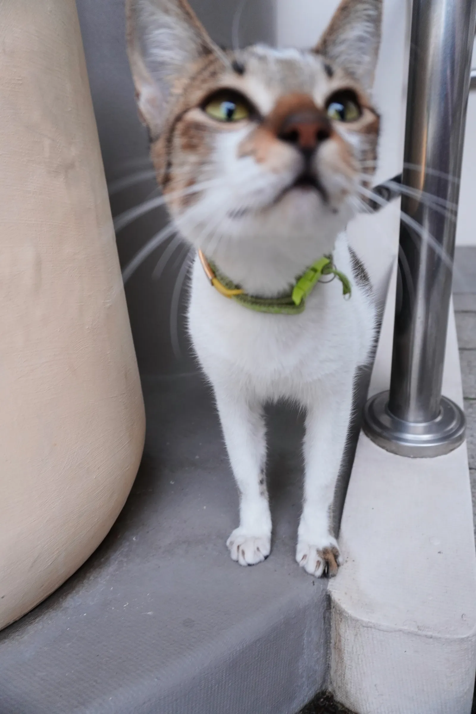 Clearly very interested in my camera